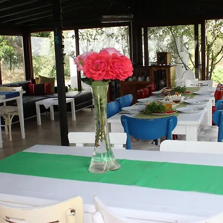 Farm stay Irmak Bag Evi Bozcaada