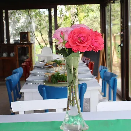 Irmak Bag Evi