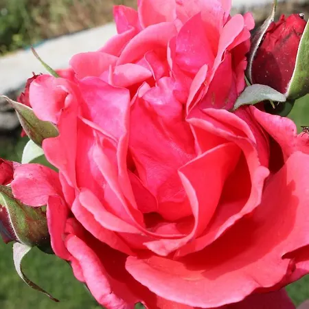 Irmak Bag Evi بوزجادا