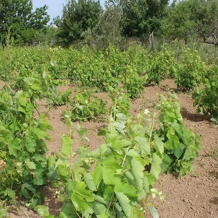 Irmak Bag Evi Bozcaada