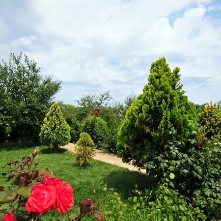 Irmak Bag Evi