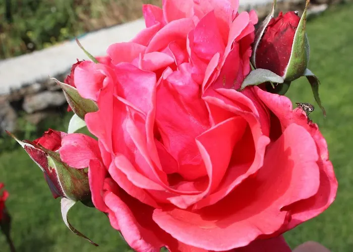 Irmak Bag Evi بوزجادا