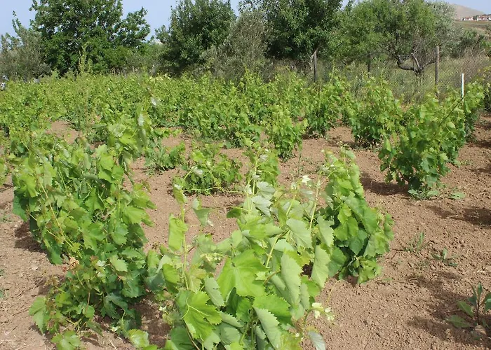 Irmak Bag Evi بوزجادا